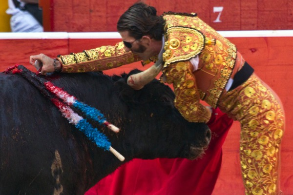 Bullfighter Juan Jose Padilla, who lost an eye in a goring and recovered to fight again, goes over the horns to kill a fighting bull from the Torrehandilla ranch in a bullfight inPamplona, northern Spain, 14 July 2012, closing the Feria del Toro in the Fiesta de San Fermin. Padilla was awarded one earl for each of his bulls and was carried out of the ring on shoulders. One horn is hitting Padilla in his shoulder and neck area, but he was not wounded. Photo and caption by Jim Hollander / EPA