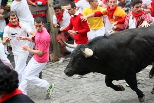 Alexander Fiske-Harrison running with the Torrestrella bulls of Álvaro Domecq - striped jacket - in Pamplona (Photo: Joseba Etxaburu - Reuters)