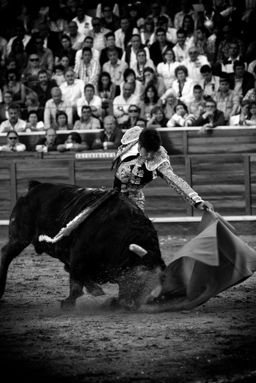 The matador Cayetano Rivera Ordóñez by Nicolás Haro, from Into The Arena: The World Of The Spanish Bullfight