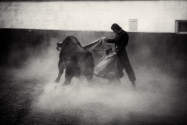 The king passes by – the verónica of matador Juan José Padilla by Nicolás Haro