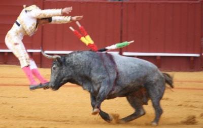 Vicente Barrera with a bull of Victorino Martín in Seville in 2009 by Alexander Fiske-Harrison